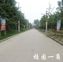 2019华达综合高中学校2019招生简章