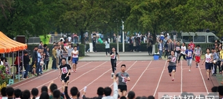 西华师范大学教育学专业招生