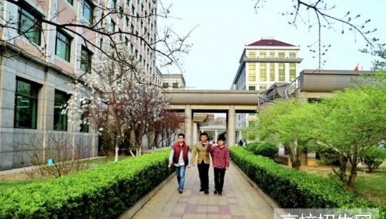 四川有数学教育专业的专科学校招生信息