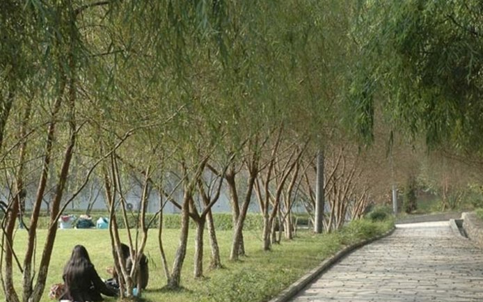 四川幼儿师范高等专科学校2019招生办电话及联系方式招生信息