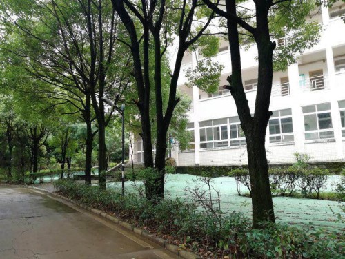 现在去读汽修以后出来竞争对手会不会太多招生信息